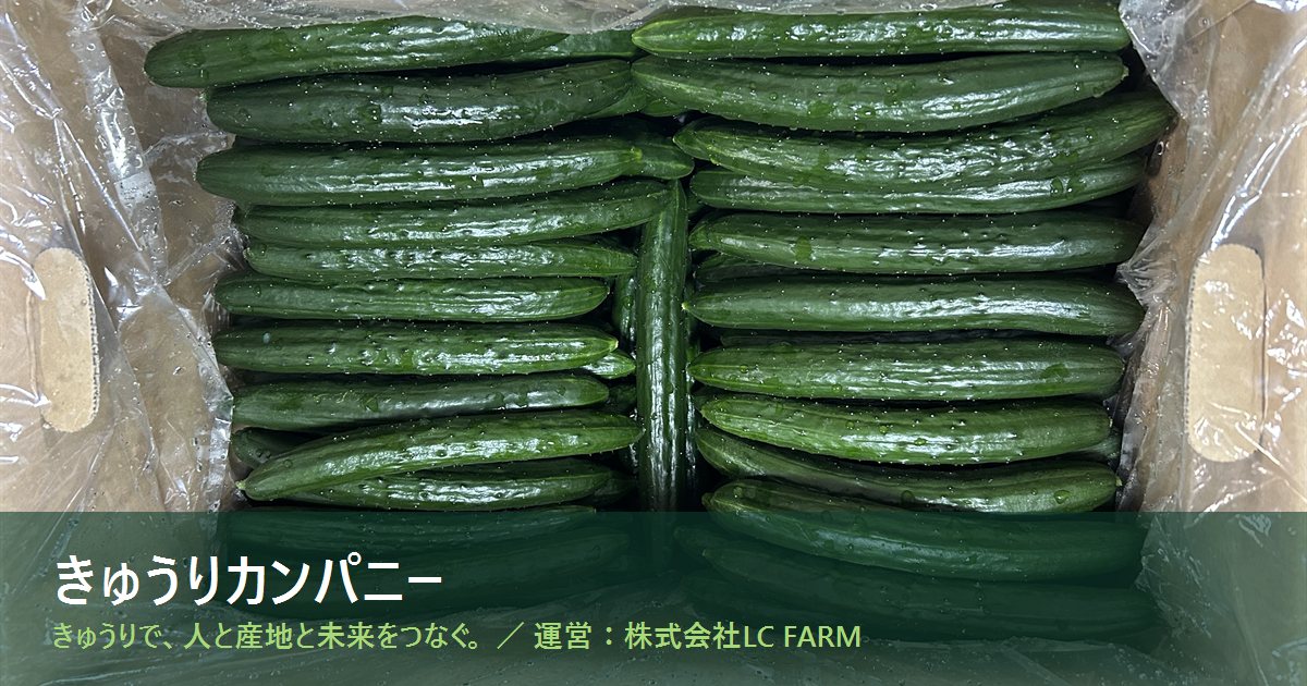 ★キュウリA等級20kg★ きゅうりの規格・等級とは｜A品・B品・C品とサイズの違い